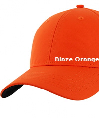 Tech-Cap-Chrome-Blaze-#1073-With-Logo-Service